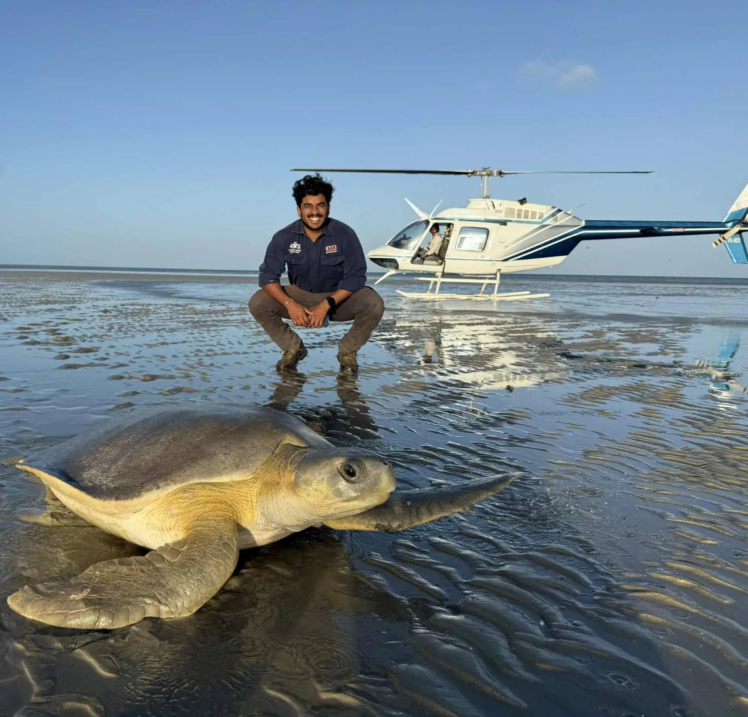 Niraj crouching on wet tidal flats behind a large sea turtle, with a helicopter parked behind him